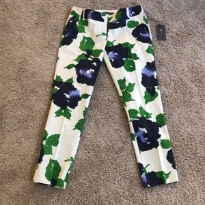 Brand new trendy work slacks